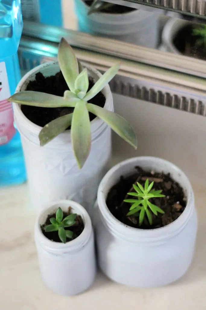 mason jar succulent planters