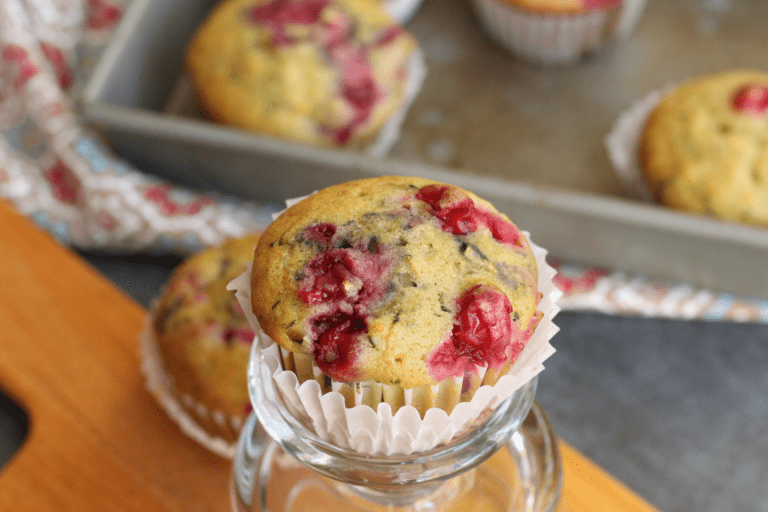 Cranberry Crazy: 10 Delicious Recipes to Tackle Your Fresh Cranberry Stash!