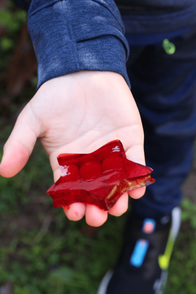 apple cherry juice snacks