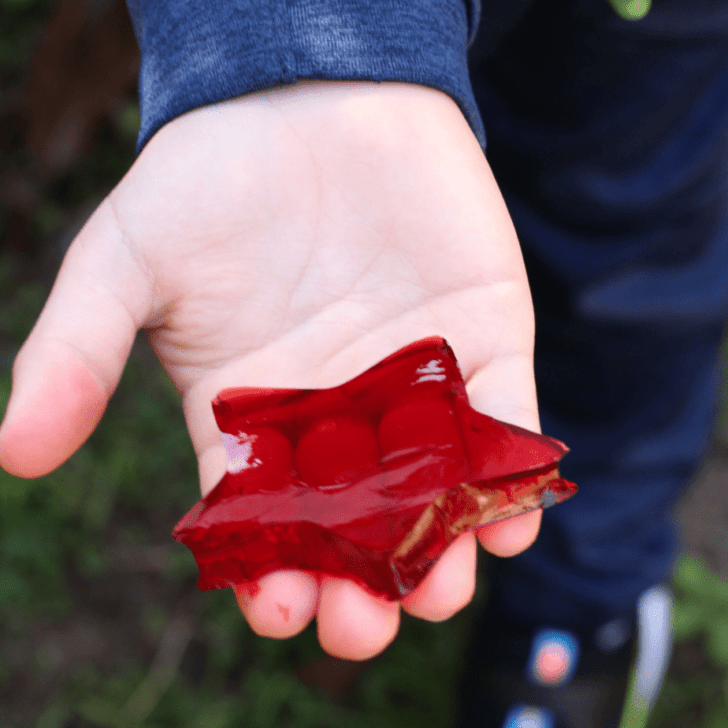 Apple Cherry Juice Stars – Great Snack for the Holidays!
