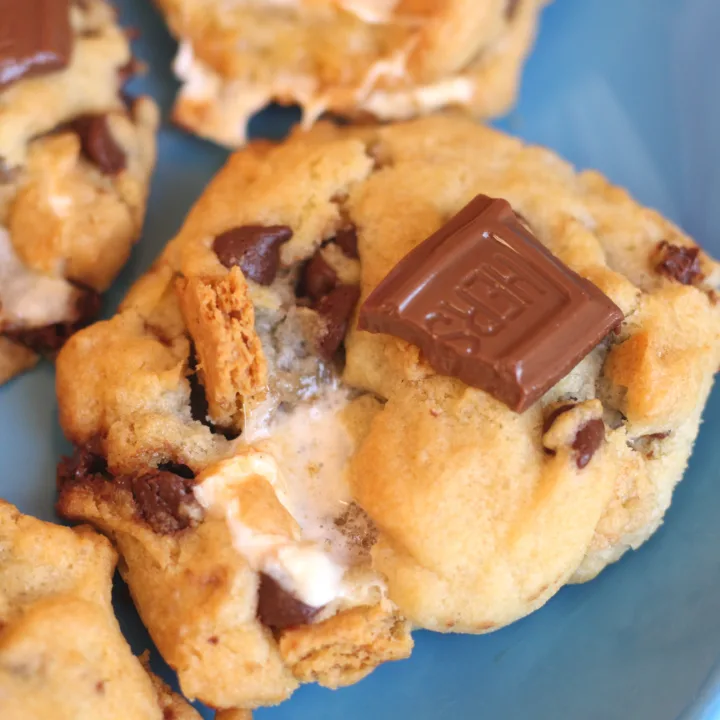 Air Fryer S'mores Cookies