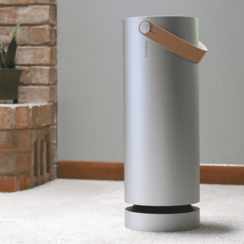How To Clean The Air In Your Home