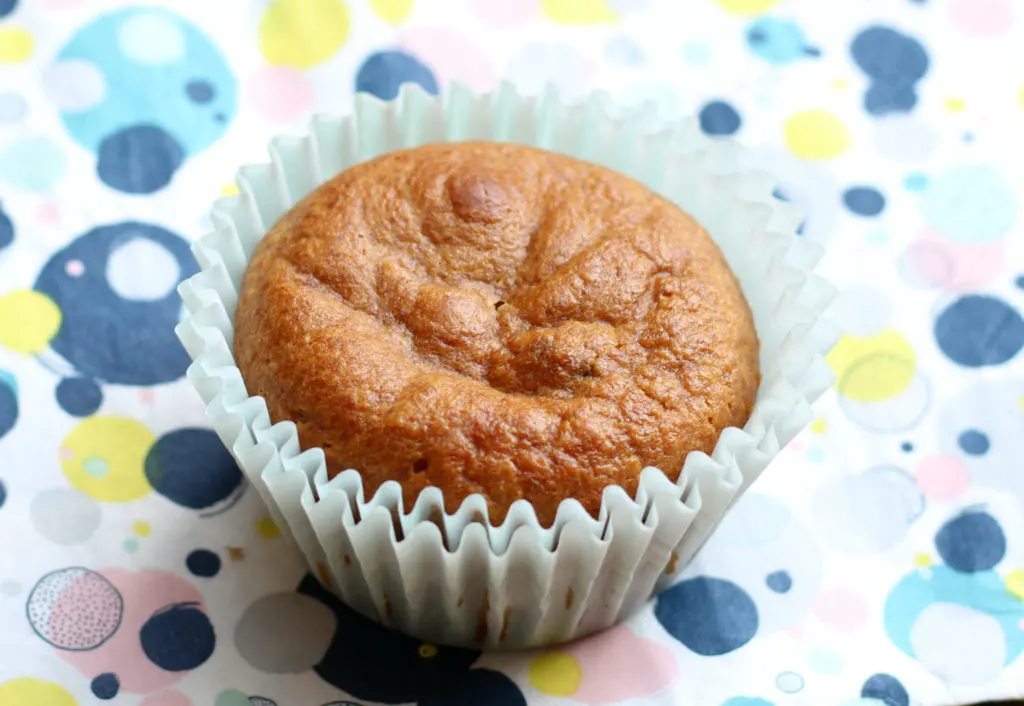 almond butter chocolate chip grain free blender muffins