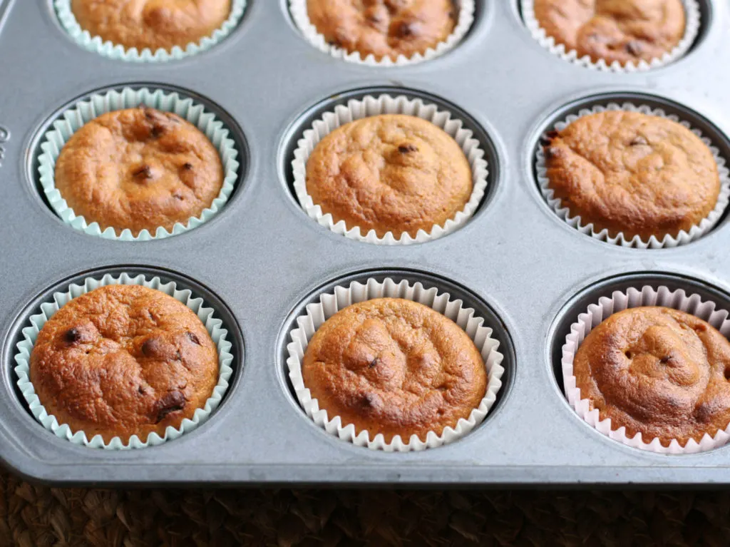 almond butter chocolate chip grain free blender muffins