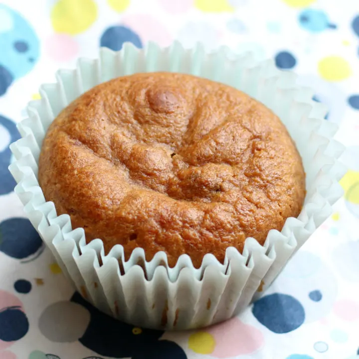 Almond Butter Chocolate Chip Grain Free Blender Muffins