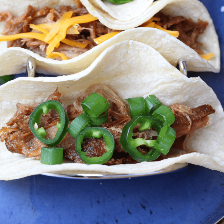 Slow Cooker Carnitas Recipe in a Gorgeous Stainless Steel Slow Cooker!