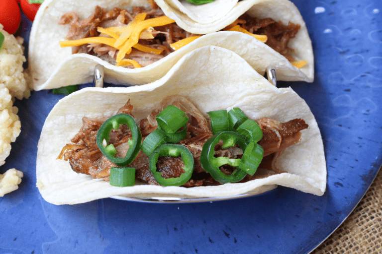 Slow Cooker Carnitas Recipe in a Gorgeous Stainless Steel Slow Cooker!