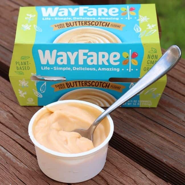 wayfare pudding plant based organic non gmo