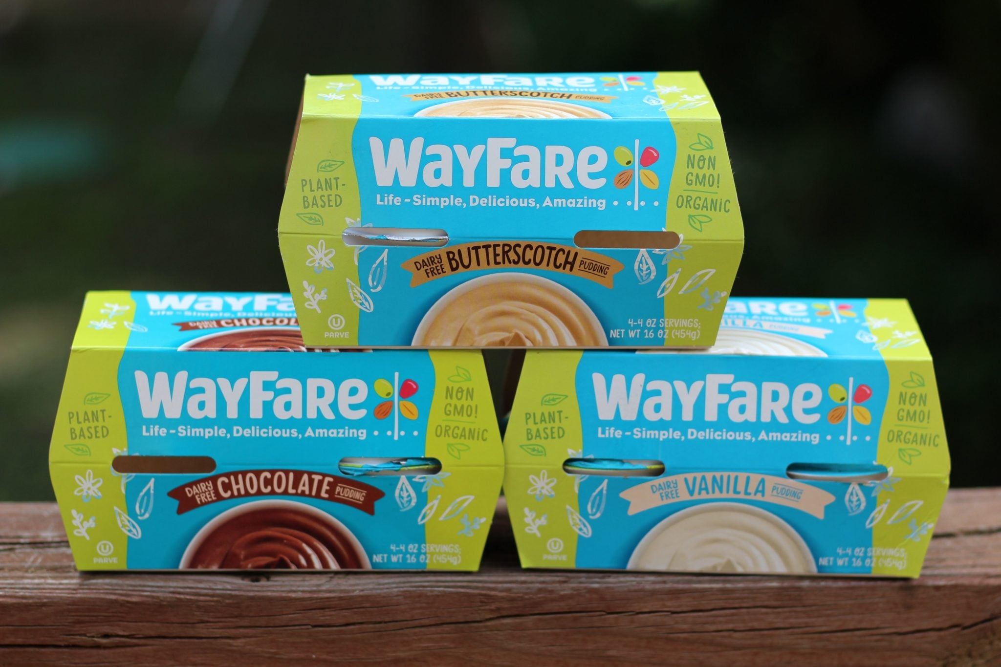 Enjoy Plant Based Pudding! So Creamy & Delicious!