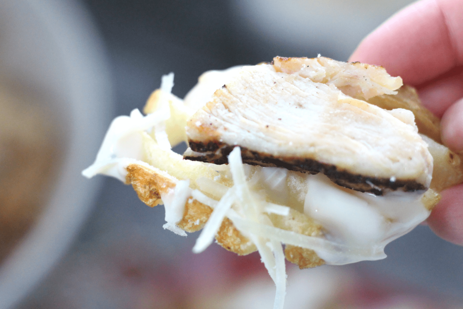 Grilled Chicken Alfredo Fries Quick & Delicious Family Meal!