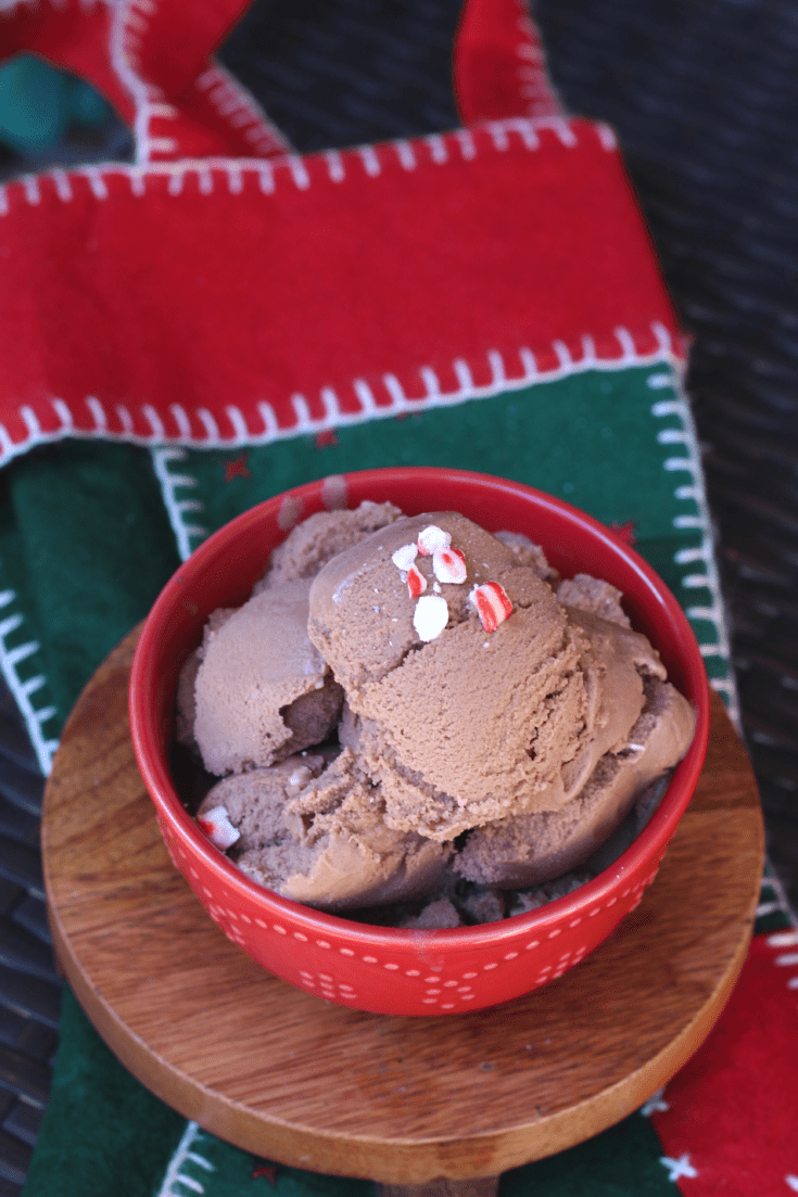 Dairy Free Peppermint Mocha Ice Cream Three Ingredients!