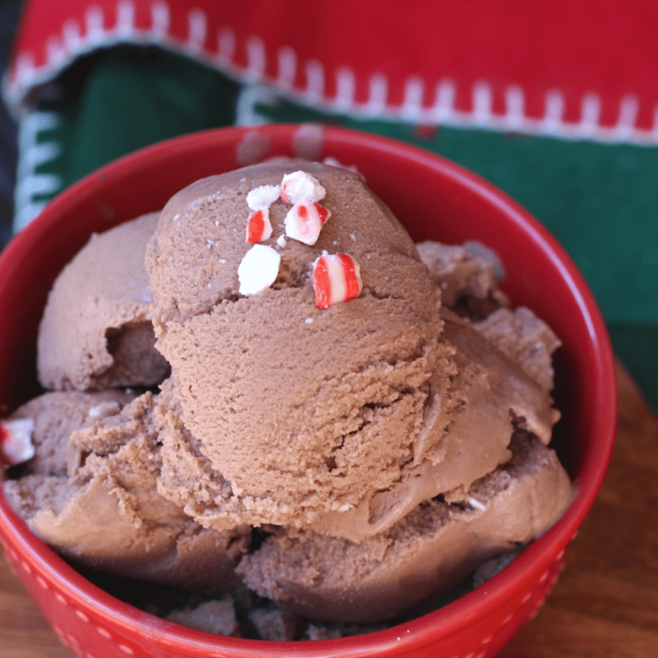 Dairy Free Peppermint Mocha Ice Cream – Easy and Only Three Ingredients!