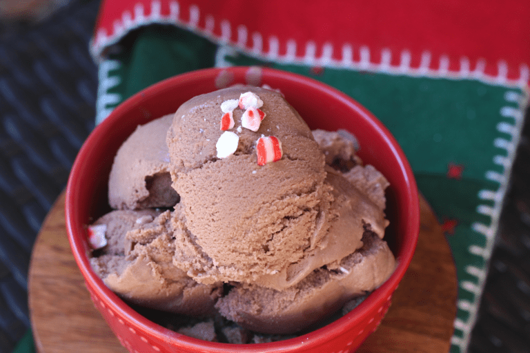 Dairy Free Peppermint Mocha Ice Cream - Easy and Only Three Ingredients!