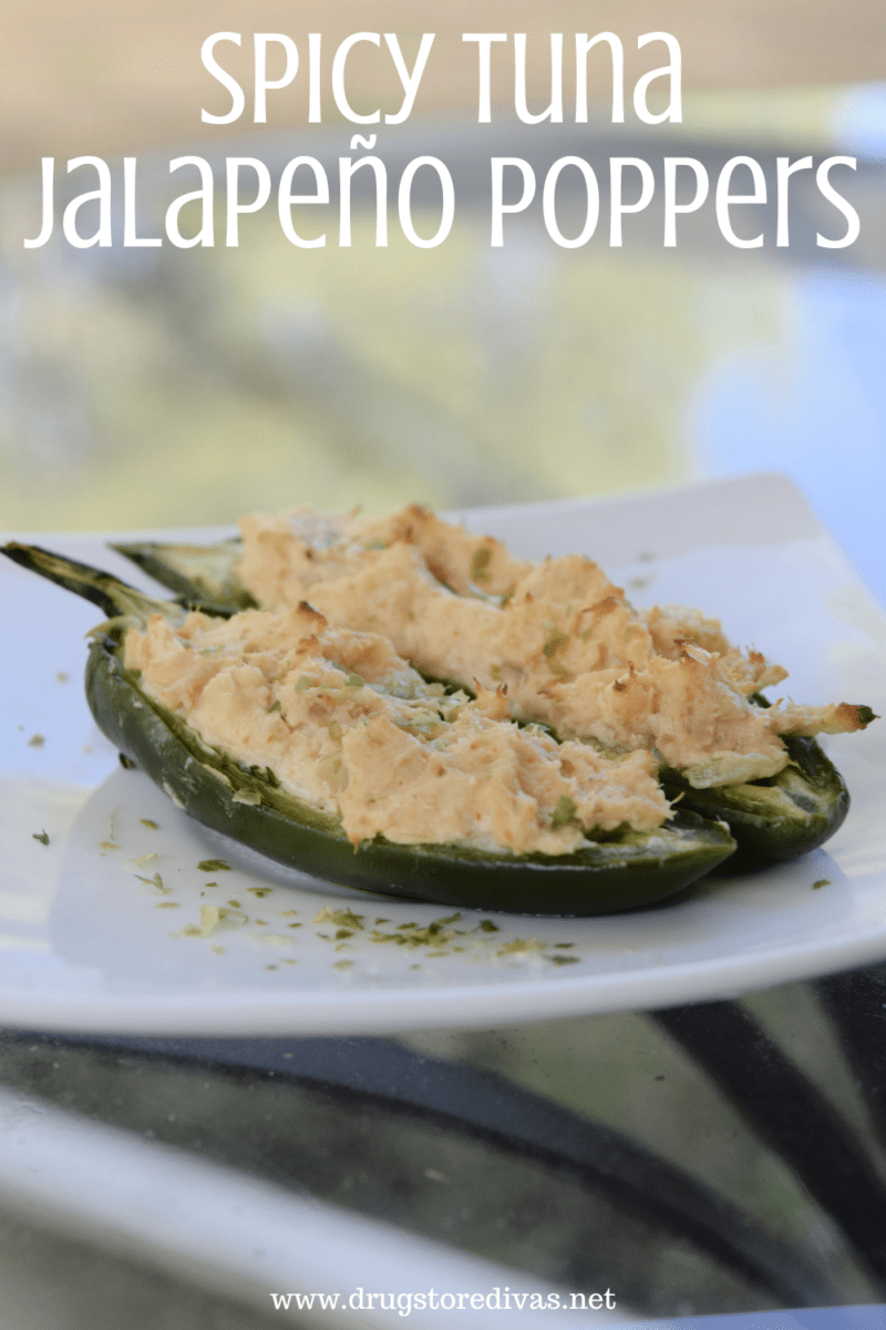 25 Canned Tuna Recipes for Easy Summer Meals! - Ginger Casa