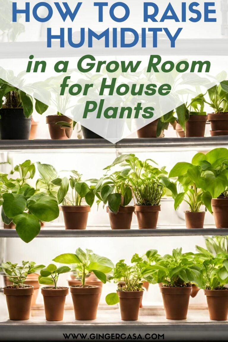 How to Raise Humidity in a Grow Room for House Plants