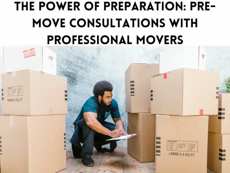 The Power of Preparation: Pre-Move Consultations with Professional Movers