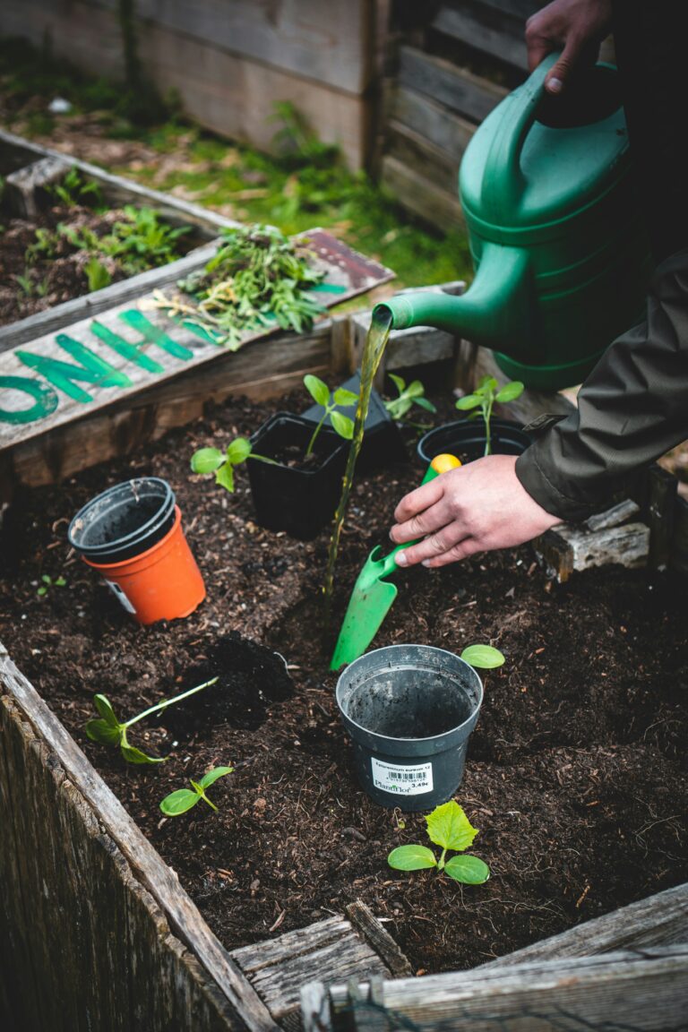 6 Remarkable Benefits Of Growing Your Own Garden At Home