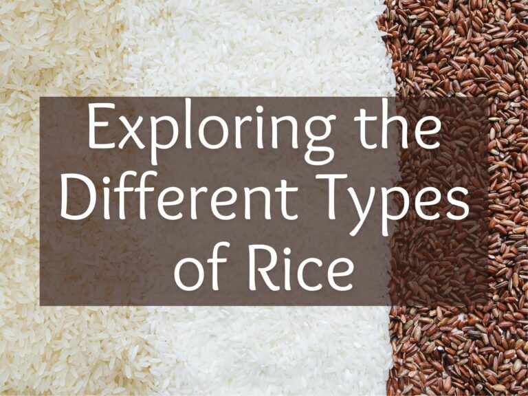 Exploring the Different Types of Rice