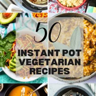 instant pot vegetarian recipes
