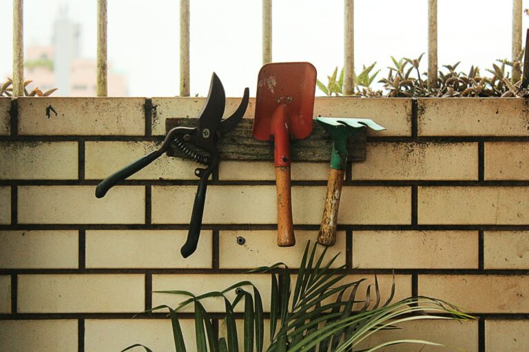 The Best Garden Tools for Beginners