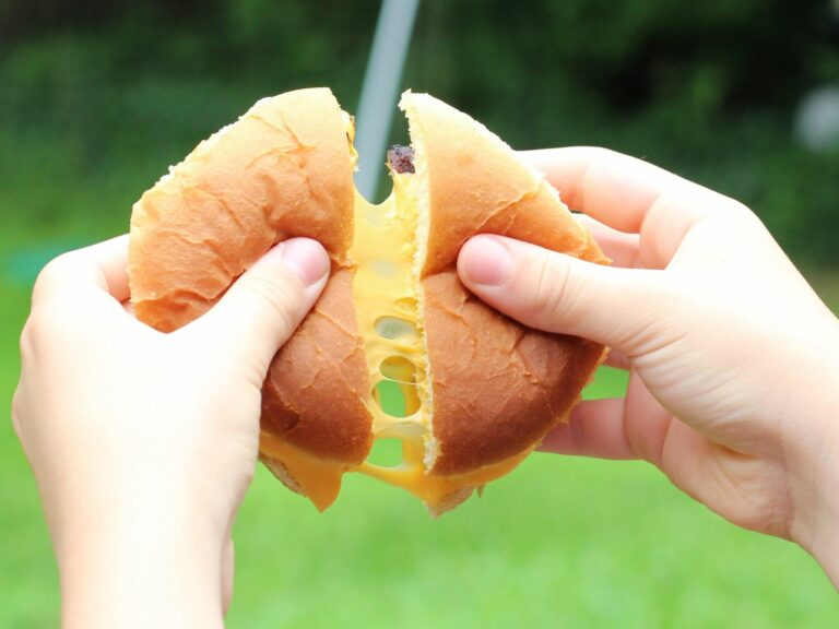 The Best Cheese for your Cheeseburger at your Family BBQ