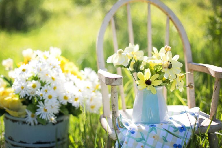 Spring into Style: Fresh Backyard Decor Ideas