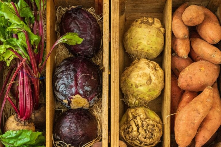Stop Throwing These 10 Veggies Away — Regrow Them at Home Instead!