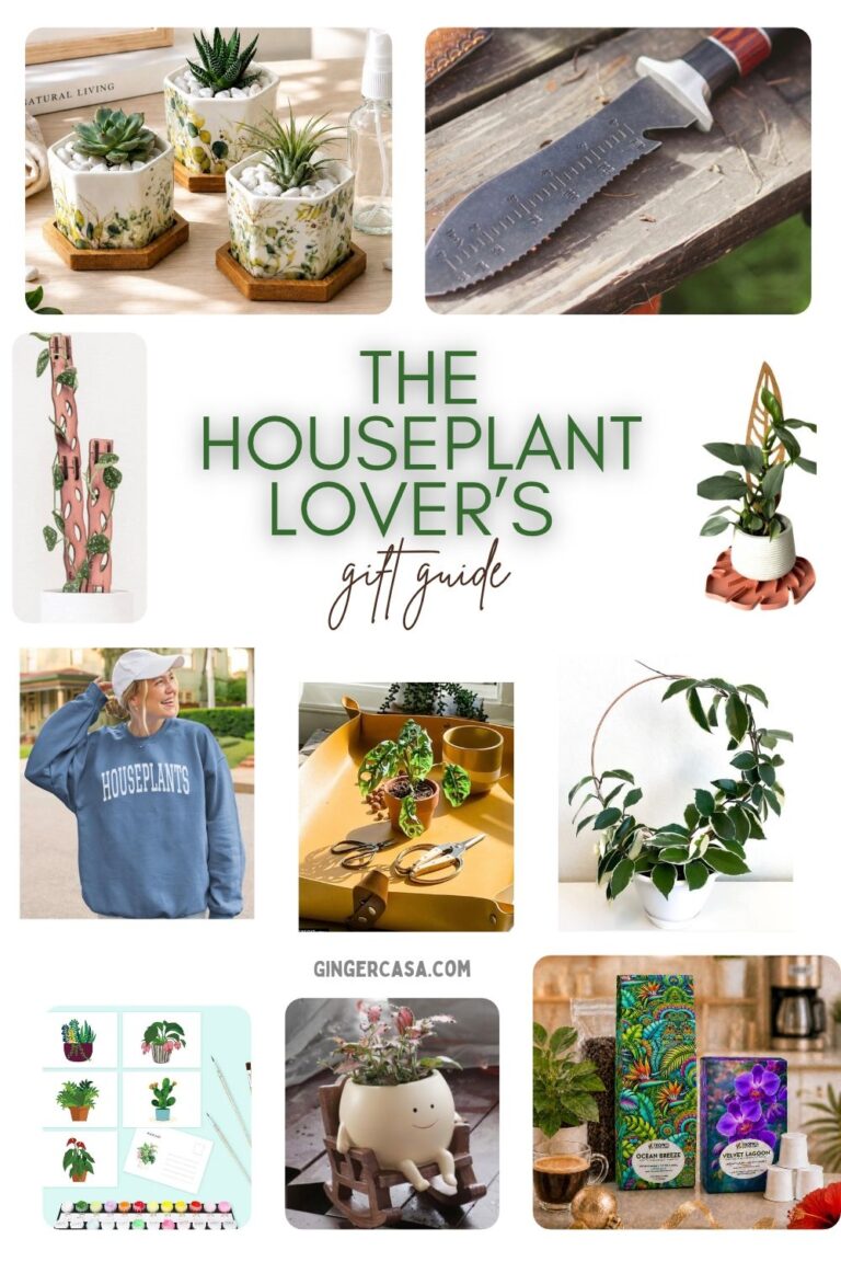 35+ Gifts for the Houseplant Lover
