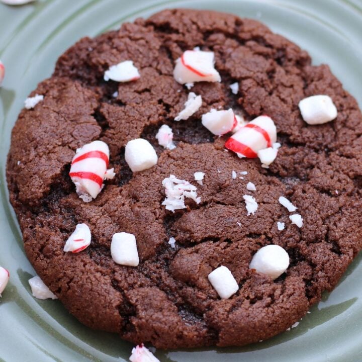 peppermint hot cocoa cookies