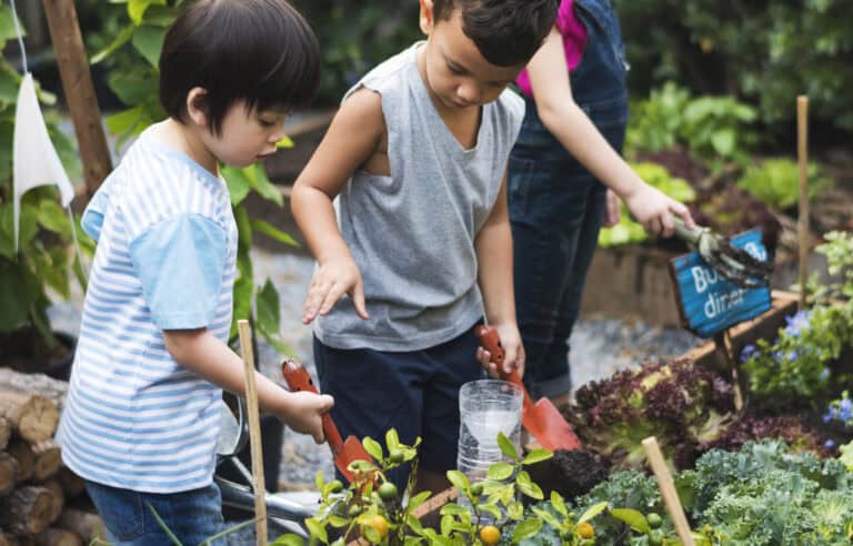 How to Create a Kid-Friendly, Pest-Resistant Backyard Garden