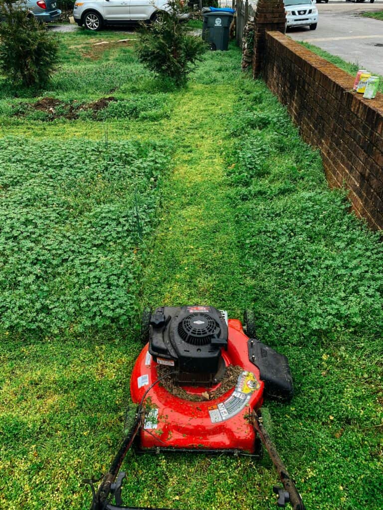 Why Texas Homeowners Are Choosing CitiTurf for Long-Term Yard Success