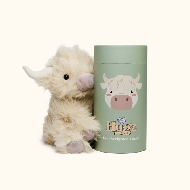 Image for Hugz weighted friends