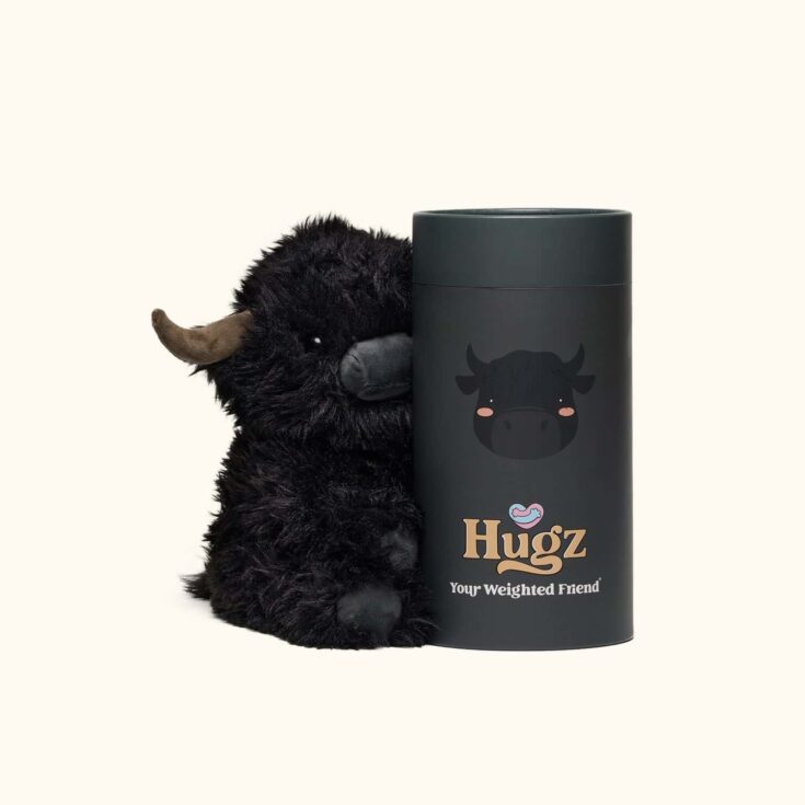Image for Angus the Highland Cow
