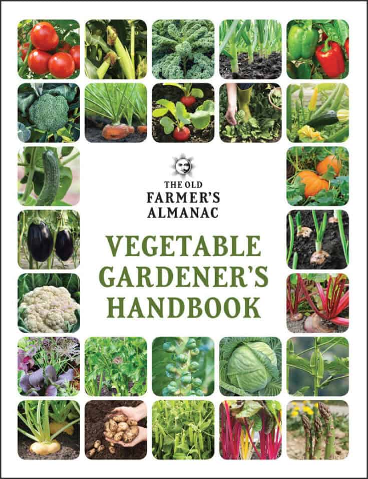 Image for Vegetable Gardener’s Handbook