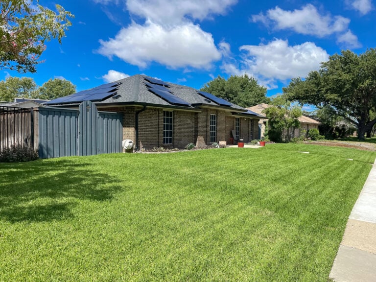 How to Keep Your Texas Lawn Healthy Through the Summer