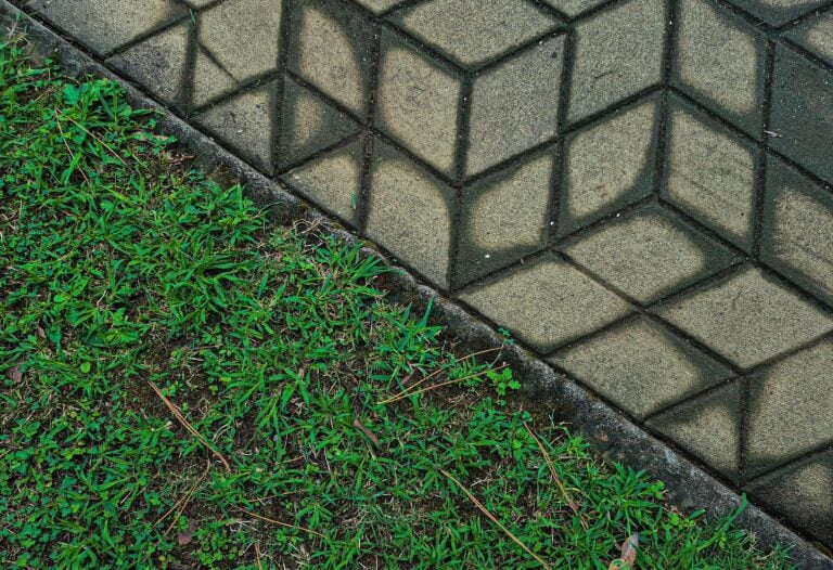 How to Make Your Yard Edges Look Designer-Clean Without Overcomplicating It
