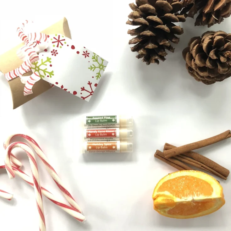 Image for Limited Edition Holiday Lip Balm Set