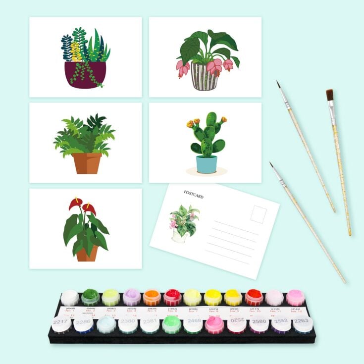 Image for Indoor Houseplants Postcard Set
