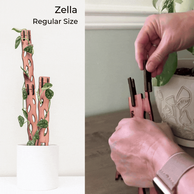 Image for Zella Wooden Plant Support - Expandable Trellis for Houseplants 